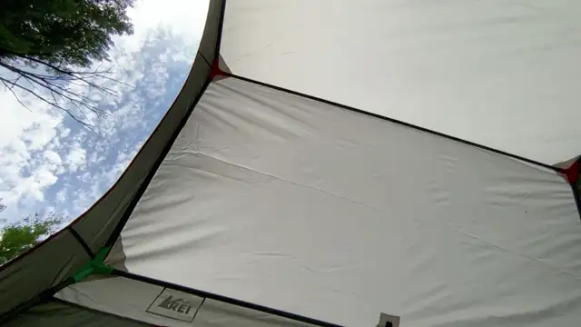 Admin is live on DVR 2025-06-28 17:20:41