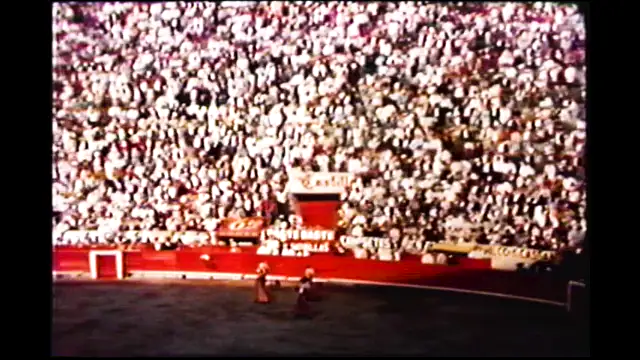 Bull Fight