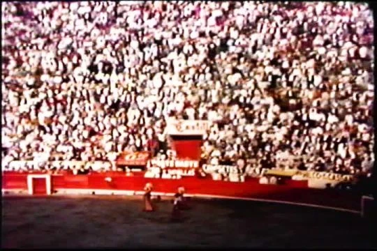 Bull Fight