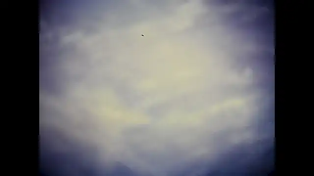 Florida Vacation - Shelley skiing